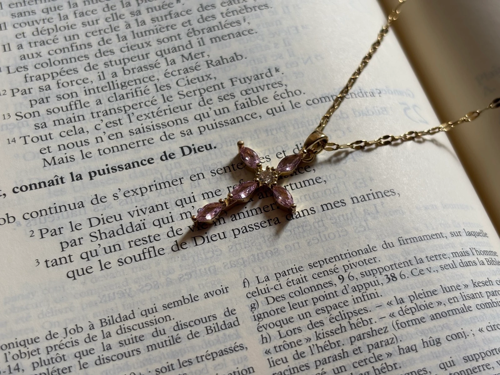 Collier chrétien Croix Rose en acier inoxydable doré | Bijou chrétien femme | Réglable